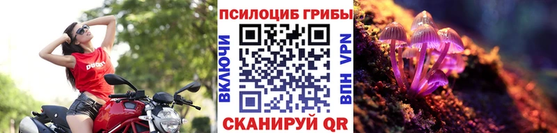omg tor  Волоколамск  Псилоцибиновые грибы мицелий  купить наркоту 